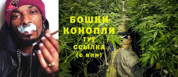 мдпв Надым