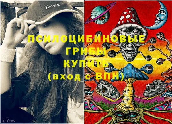 мдпв Надым