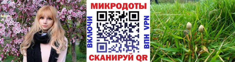 KRAKEN tor  дарнет шоп  Починок  Псилоцибиновые грибы мухоморы 